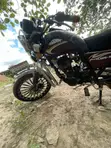 Haojin HJ125-99 2025 Brown - 2
