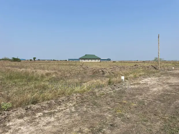 Registered Land for Sale - Zion City, Dawhenya - 1