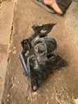Toyota Voxy Engine Mount (Used) - 1