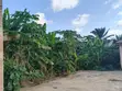Residential Land for Sale at Mpatado - 3