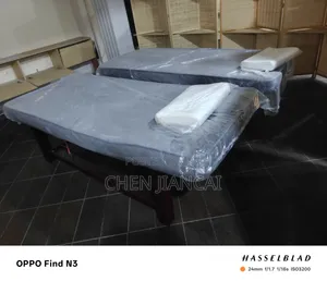 Adjustable Professional Spa Massage Bed