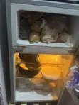 Delron 2-Door Refrigerator - 1