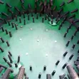 Goat De-hairing Machine - 2