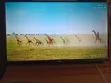 TCL 32-inch Smart TV - 1