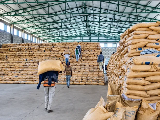 Distributors and Loaders Needed at Cocoa Factory - 1