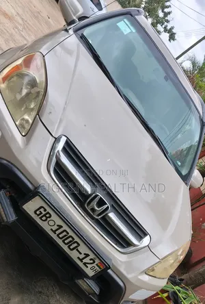 Honda CR-V 2003 Gray