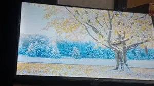 TCL 32-inch Smart TV (Brand New)