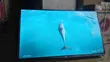 TCL 32-inch Smart TV (Brand New) - 2