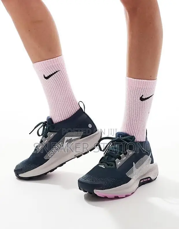 Nike Pegasus Trail 5 - 1