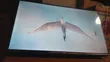 Art World Televisions: 32-inch TCL Smart TV - 2