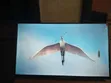 TCL 32-inch Smart Google TV - 2