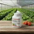 All-in-One Defense: Greenhouse & Farm Insecticide (25% Thiamethoxam WG) - 1