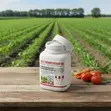 All-in-One Defense: Greenhouse & Farm Insecticide (25% Thiamethoxam WG) - 2