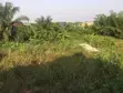 Residential Land for Sale - Assakae, Takoradi - 1
