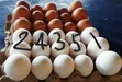 Fresh Chicken Eggs - 1