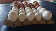 Fresh Chicken Eggs - 2