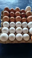 Fresh Chicken Eggs - 4