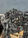 2019 Ford Ranger Engine - 2