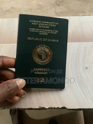 Passport and Driving License Application Assistance
