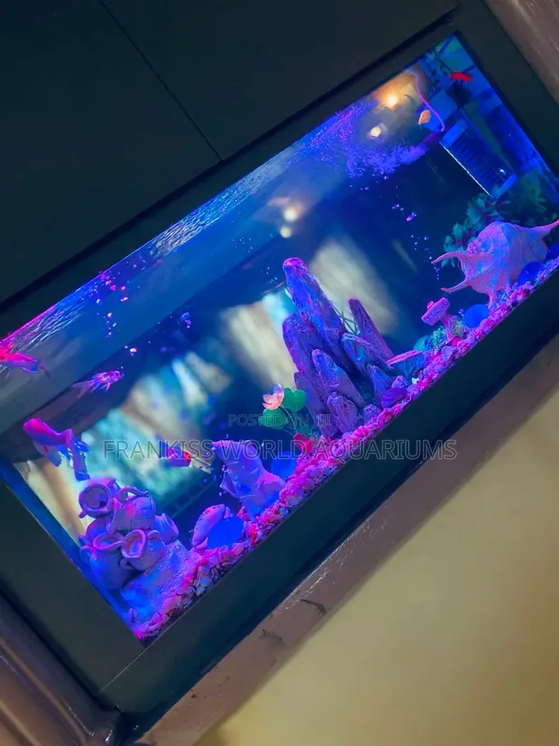 Double View Wall Unit Aquarium - 1
