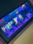 Double View Wall Unit Aquarium - 1