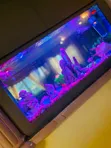 Double View Wall Unit Aquarium - 3