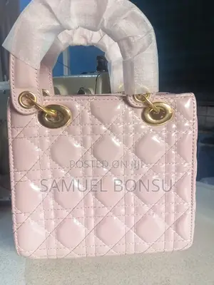 Goyard Classic Multicolor Handbag