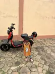 Electric Scooter 2026 Red - 5