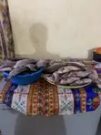 God's Glory Cold Store - Fresh Tilapia - 1