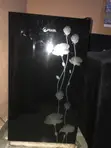 Pearl 1-Door Refrigerator - 3