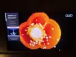 Samsung 55-Inch QLED Smart TV (55Q90T) - 5