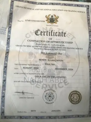 Beniye Elijah Tayori - Junior Project Certification Officer CV