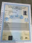 Beniye Elijah Tayori - Junior Project Certification Officer CV - 2