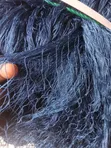 Pond Cover Net - Blue - 1