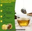 Dandelion Root and Leaf Tea Bags - 100 Bags - 4