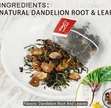 Dandelion Root and Leaf Tea Bags - 100 Bags - 5