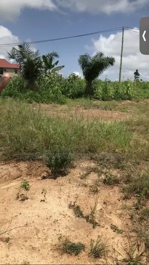Residential Land for Sale - Amasaman