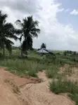 Residential Land for Sale - Amasaman - 2