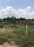 Residential Land for Sale - Amasaman - 3