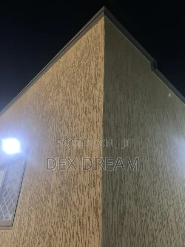 Dex Dream Painting & Graffiato Services - 1