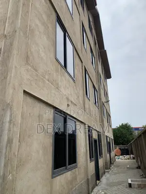 Dex Dream Painting and Graffiato Service