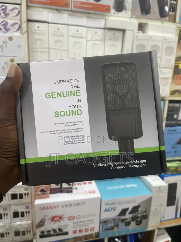 Studio Condenser Microphone - Low-Mass Diaphragm - 1