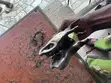 Hyundai Veloster Engine & Transmission Assembly - 4