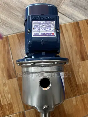 Pedrollo 1.5 HP Water Pump
