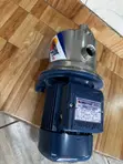 Pedrollo 1.5 HP Water Pump - 2