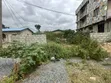 TDC Documented Half Plot for Sale at Community 17-Lashibi - 2