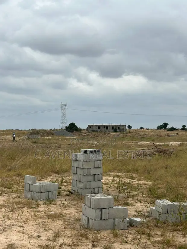 Worry-Free Land Buying in Tsopoli - 1