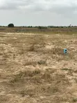 Worry-Free Land Buying in Tsopoli - 2