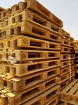 New Wooden Pallets - 1