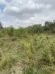 1 Acre Roadside Land for Sale at Oyibi - 1